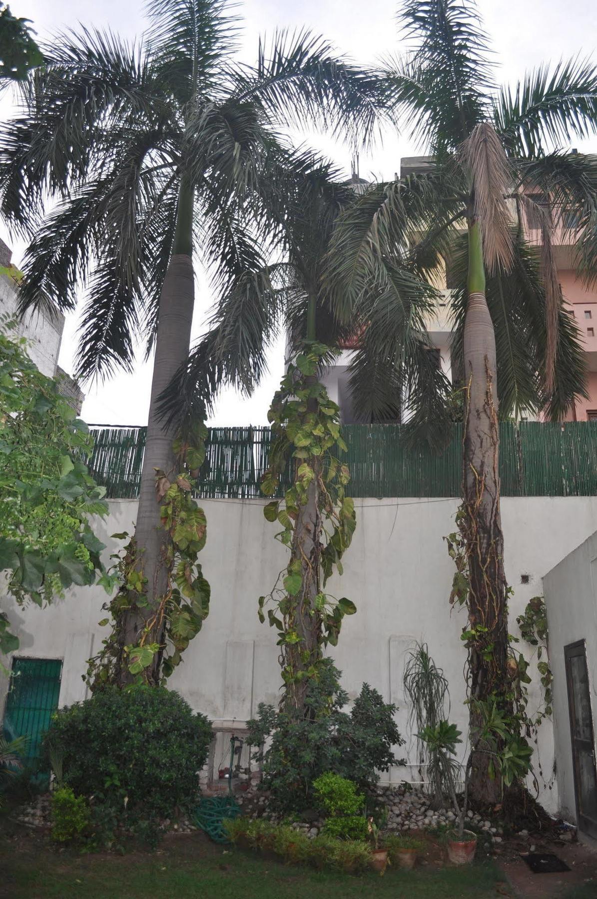 Hotel Kabli New Delhi Exterior photo